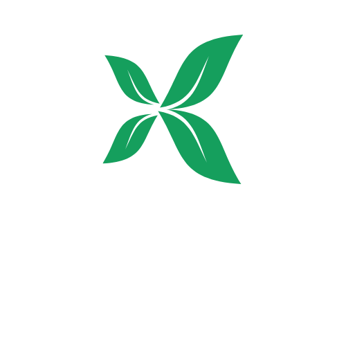 X-консулт